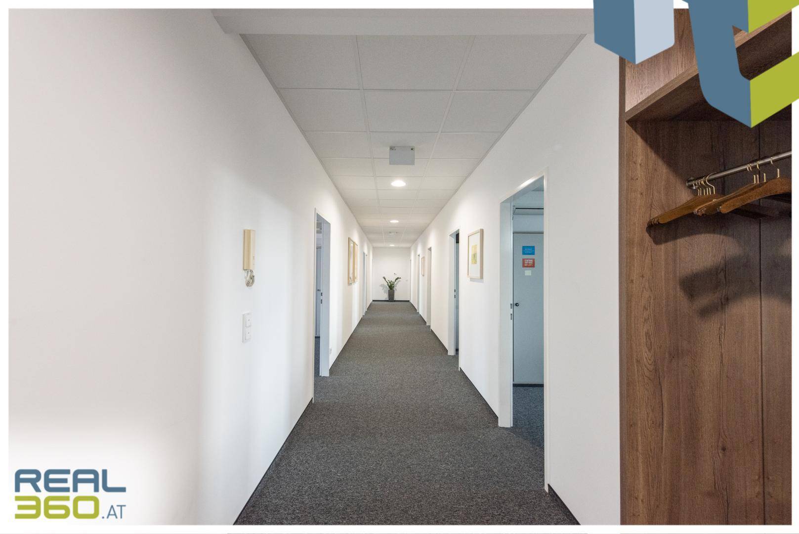 Langer, heller Flur mit Teppichboden und Türen, die zu verschiedenen Büroräumen führen.