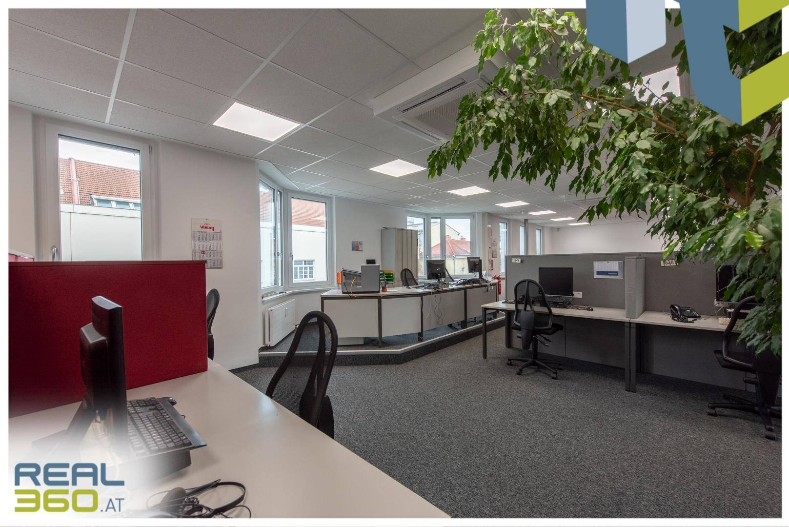 Offenes Büro mit vielen Arbeitsplätzen, grünen Pflanzen und natürlichem Licht durch die Fenster.