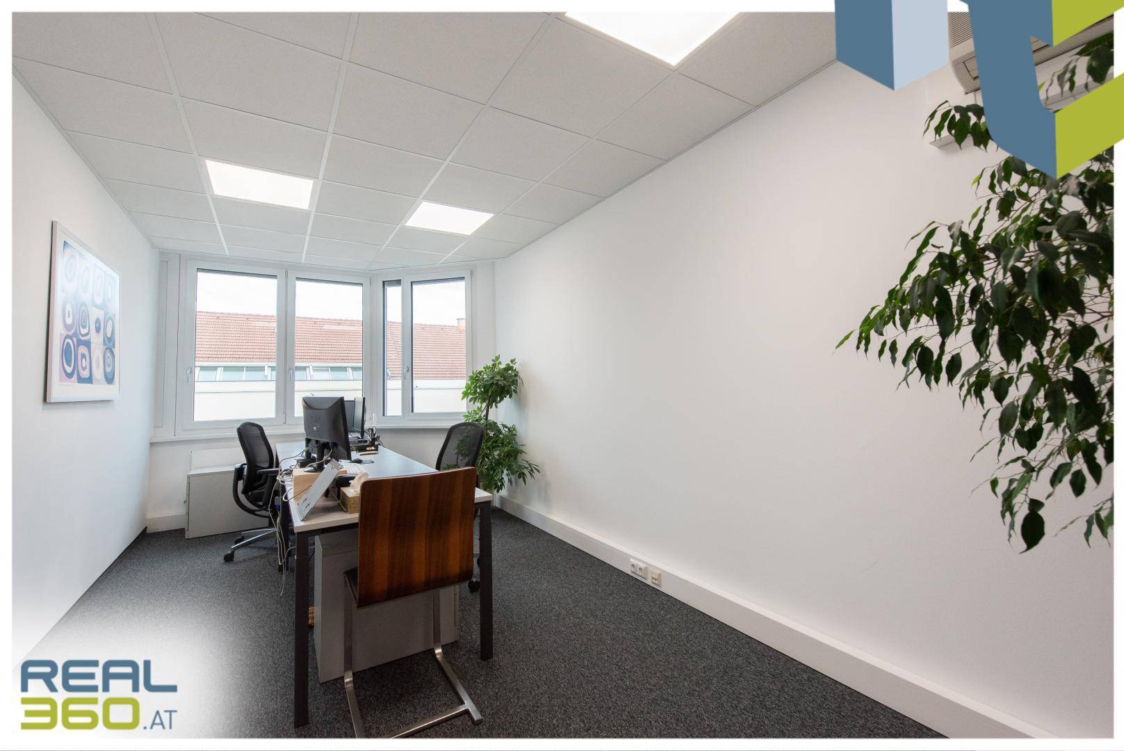 Büro mit Schreibtisch, Bürostuhl, grüner Pflanze und Fenstern, die viel Tageslicht hereinlassen.