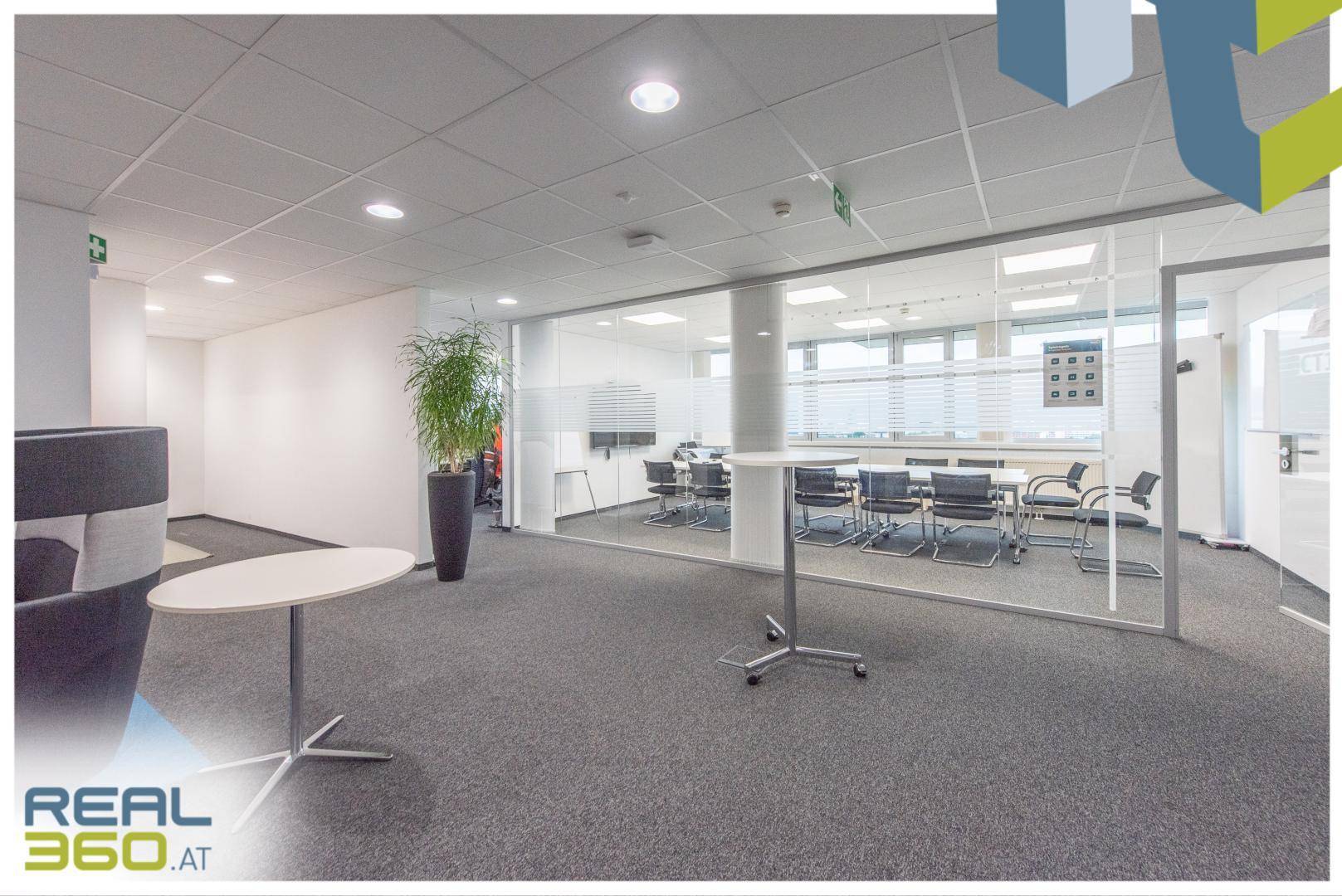 Moderner Bürobereich mit Teppichboden, Pflanzen und einem Konferenzraum hinter Glaswänden.
