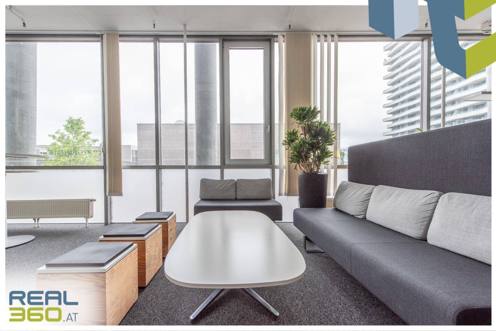Gemütlicher Loungebereich im Büro mit bequemen Sofas, Couchtisch und großen Fenstern.