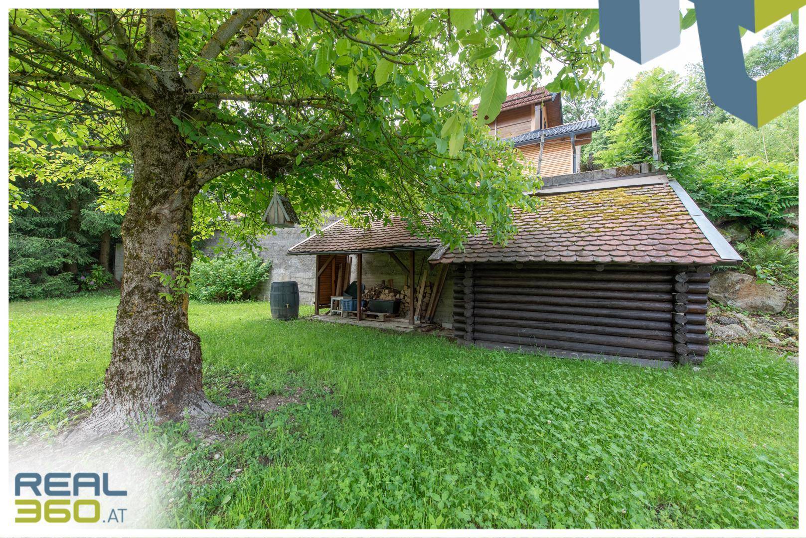 Großer Garten mit altem Baum und einem rustikalen Holzschuppen mit überdachtem Bereich.