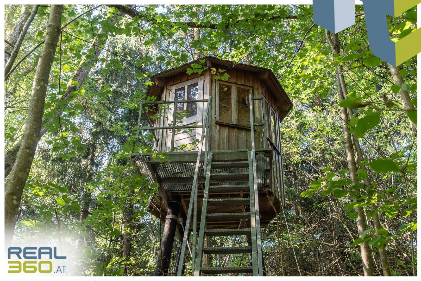 Rustikales Baumhaus oder Hochstand aus Holz mit Metalltreppe, umgeben von dichtem Wald.