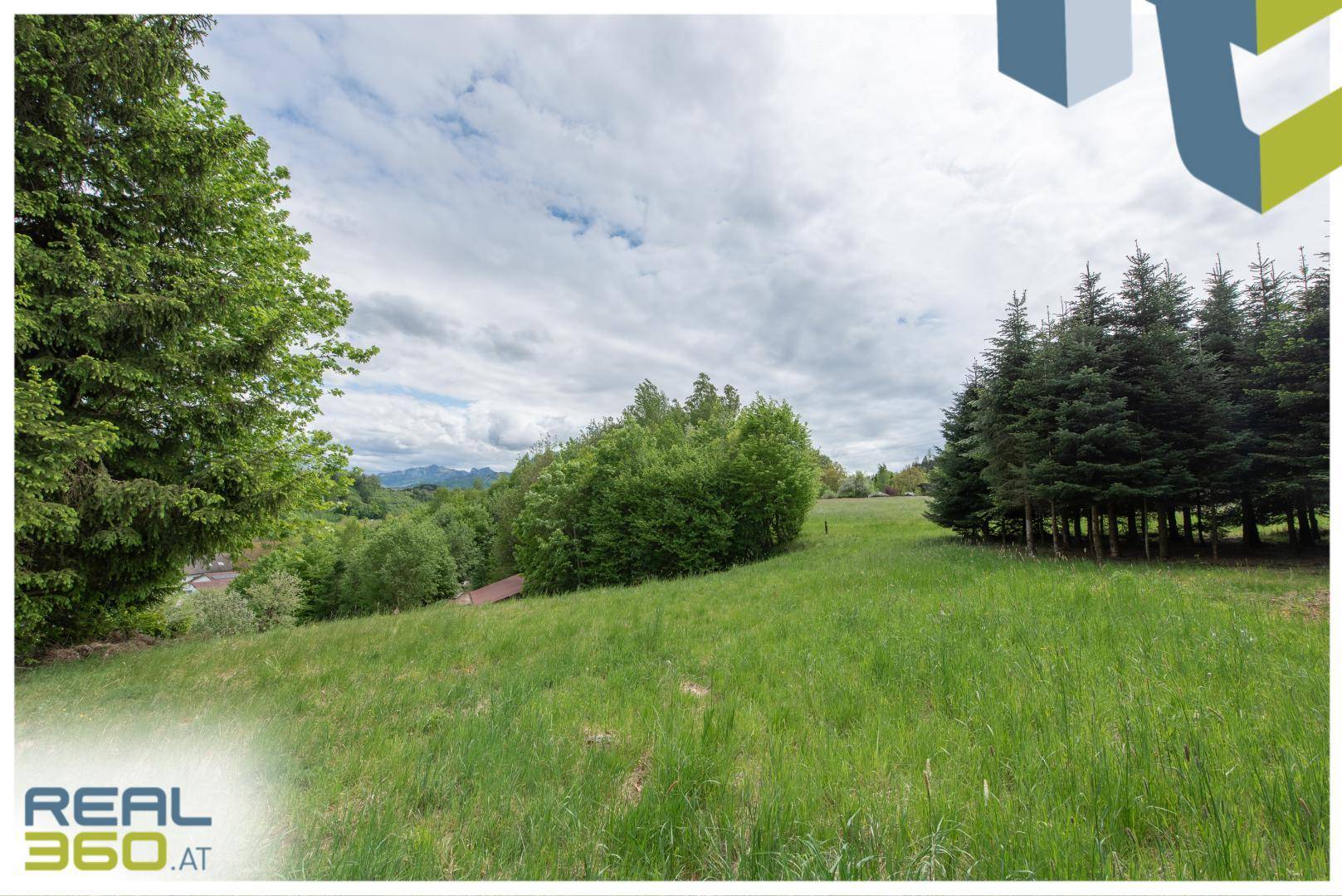 Weitläufige grüne Wiese mit Bäumen und einem Panoramablick auf die umliegende Landschaft und Berge.