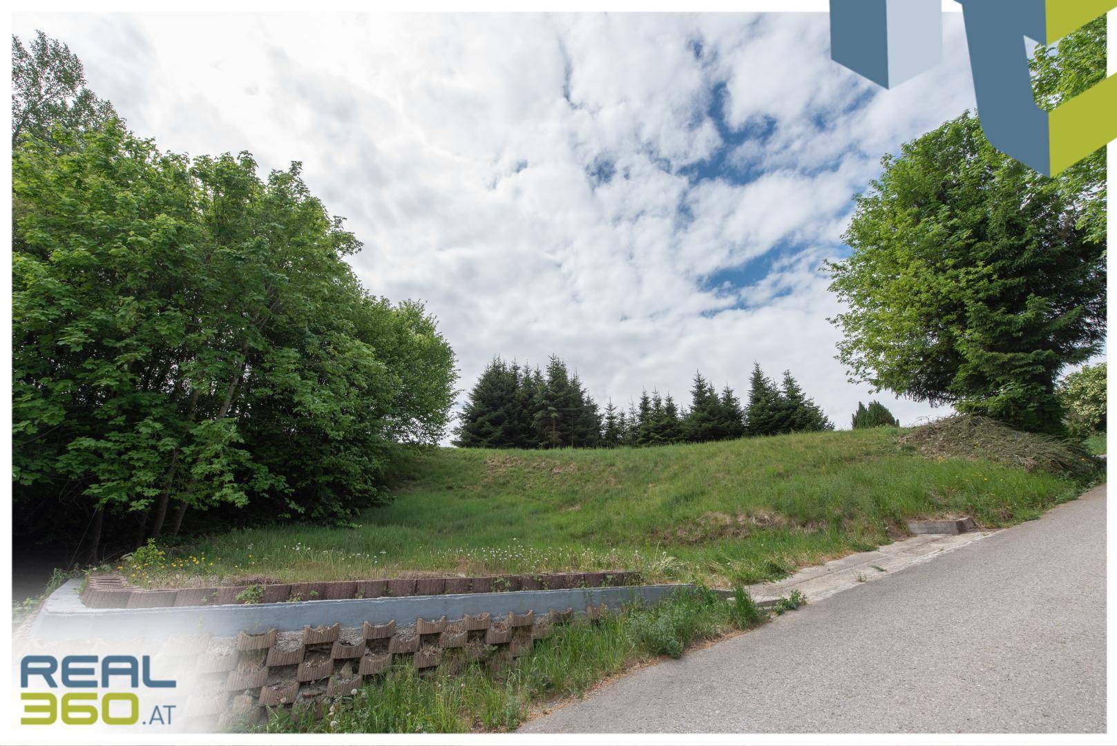 Grüne Böschung neben einer Straße, umgeben von Bäumen und Sträuchern unter bewölktem Himmel.