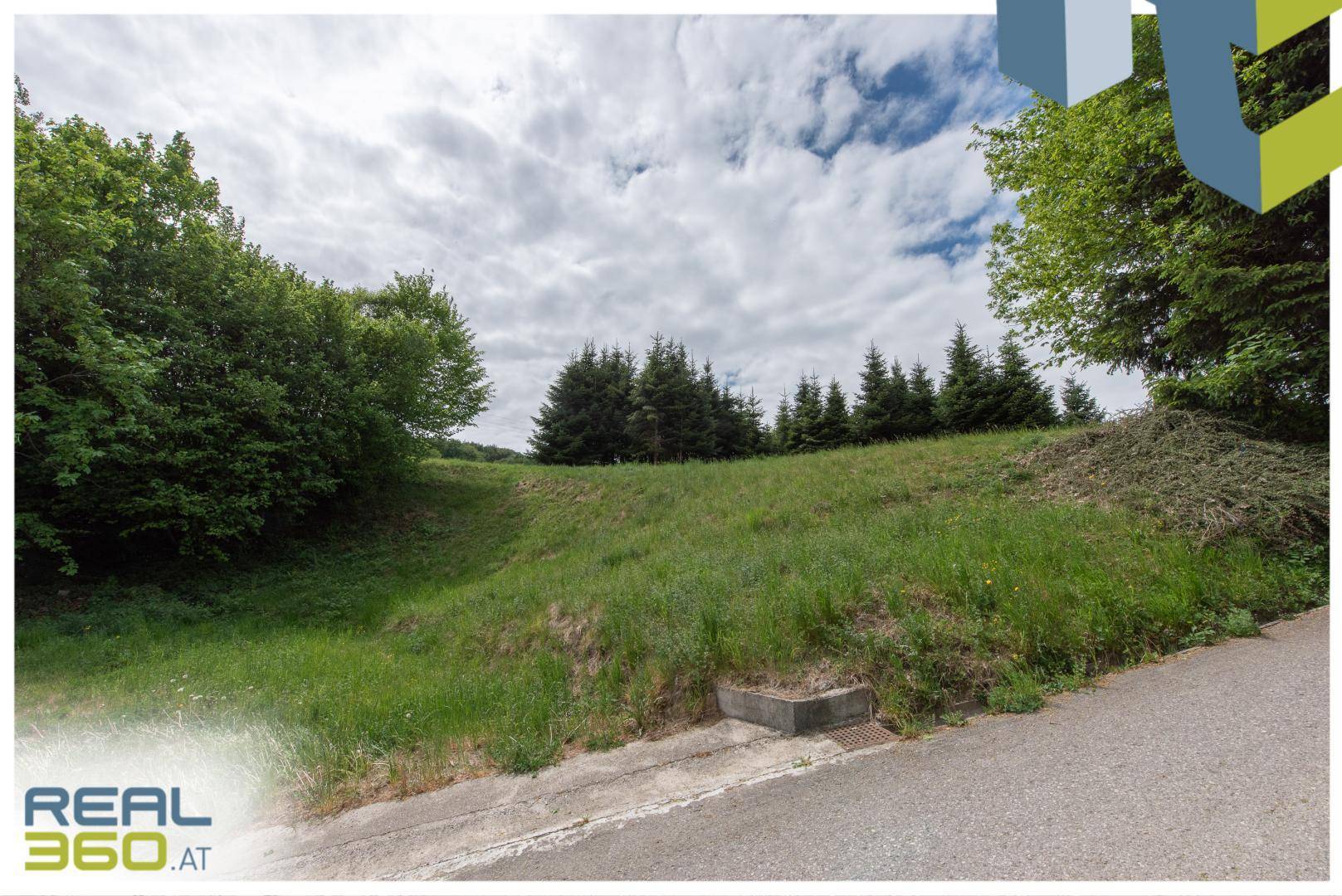 Grüne Wiese und Böschung neben einer asphaltierten Straße, umgeben von dichter Vegetation.