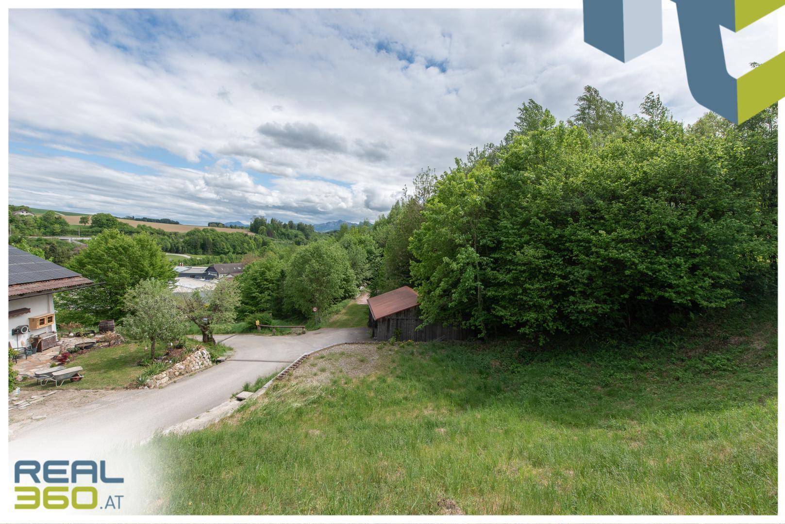 Grüne Landschaft mit einer Zufahrtsstraße, Bäumen und einem weiten Blick in die Ferne.