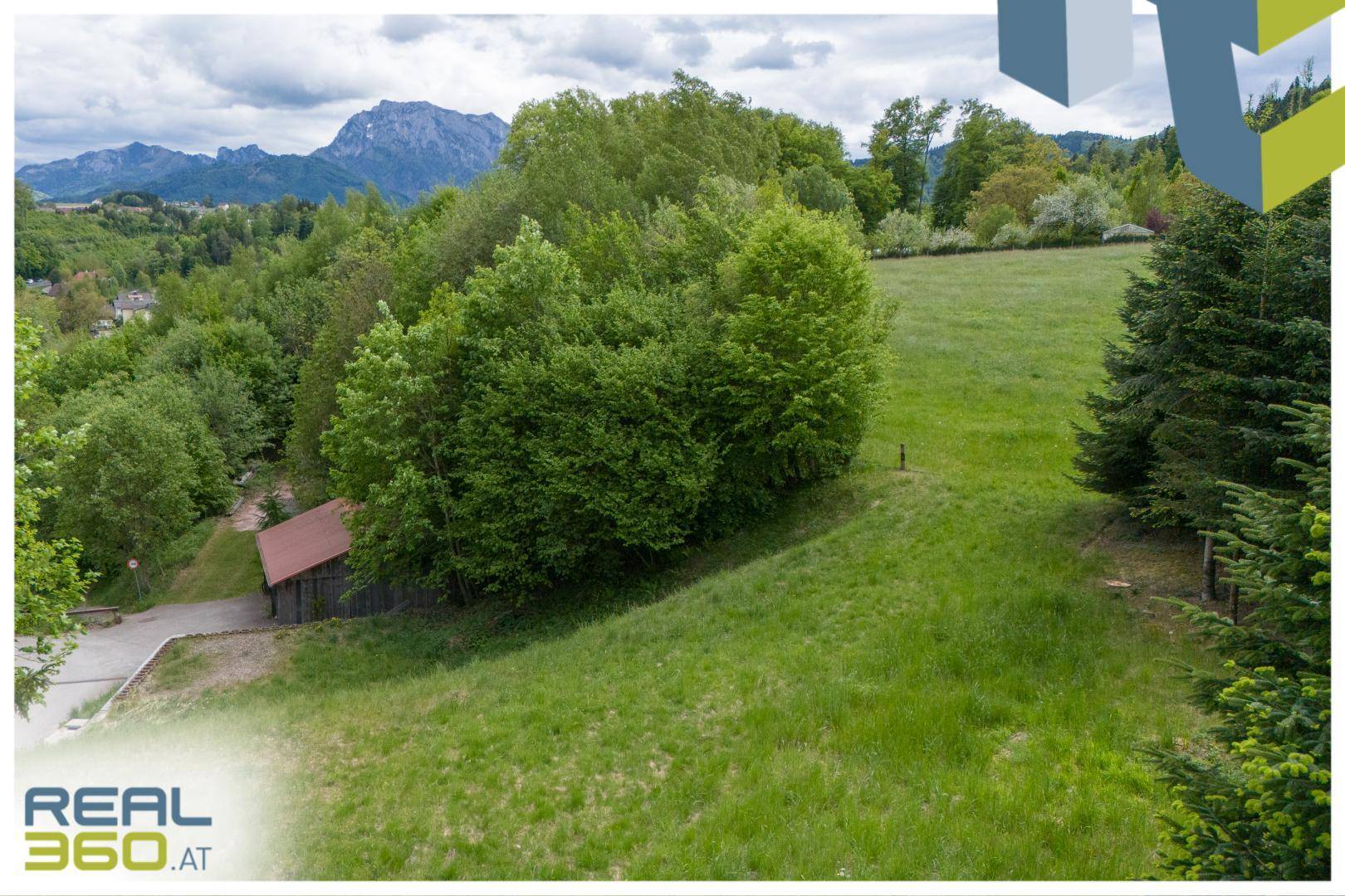 Hügeliges Gelände mit grünen Bäumen und Wiesen, im Hintergrund sind Berge sichtbar.