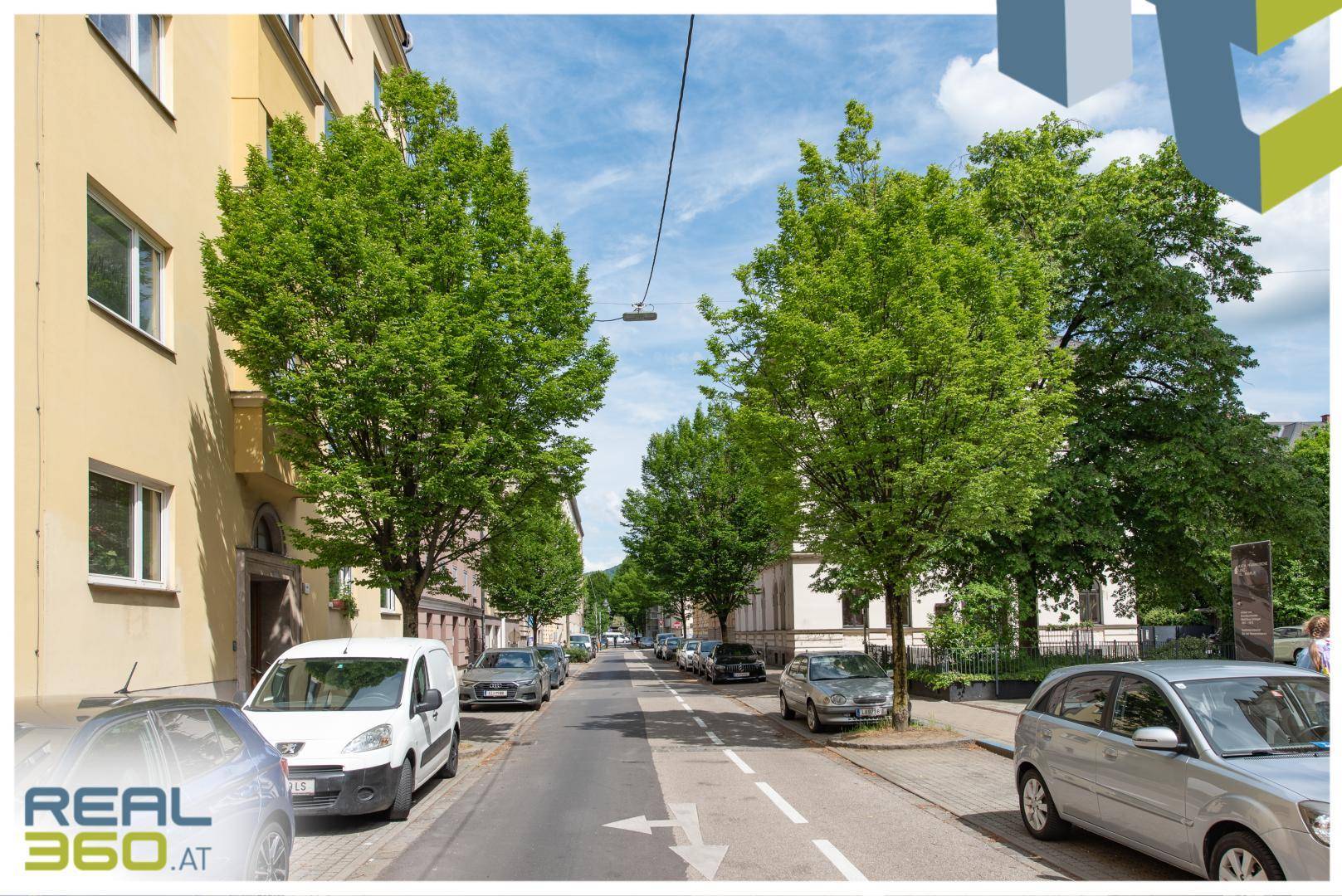 Ruhige Wohnstraße mit parkenden Autos und vielen Bäumen an einem sonnigen Tag.