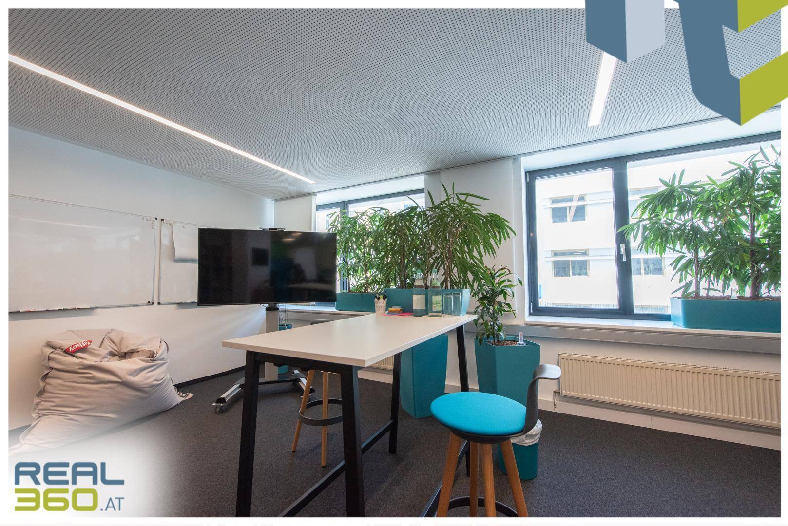 Weiterer Blick in das offene Büro mit Stehtisch, Hockern und großen Fenstern mit Pflanzen.