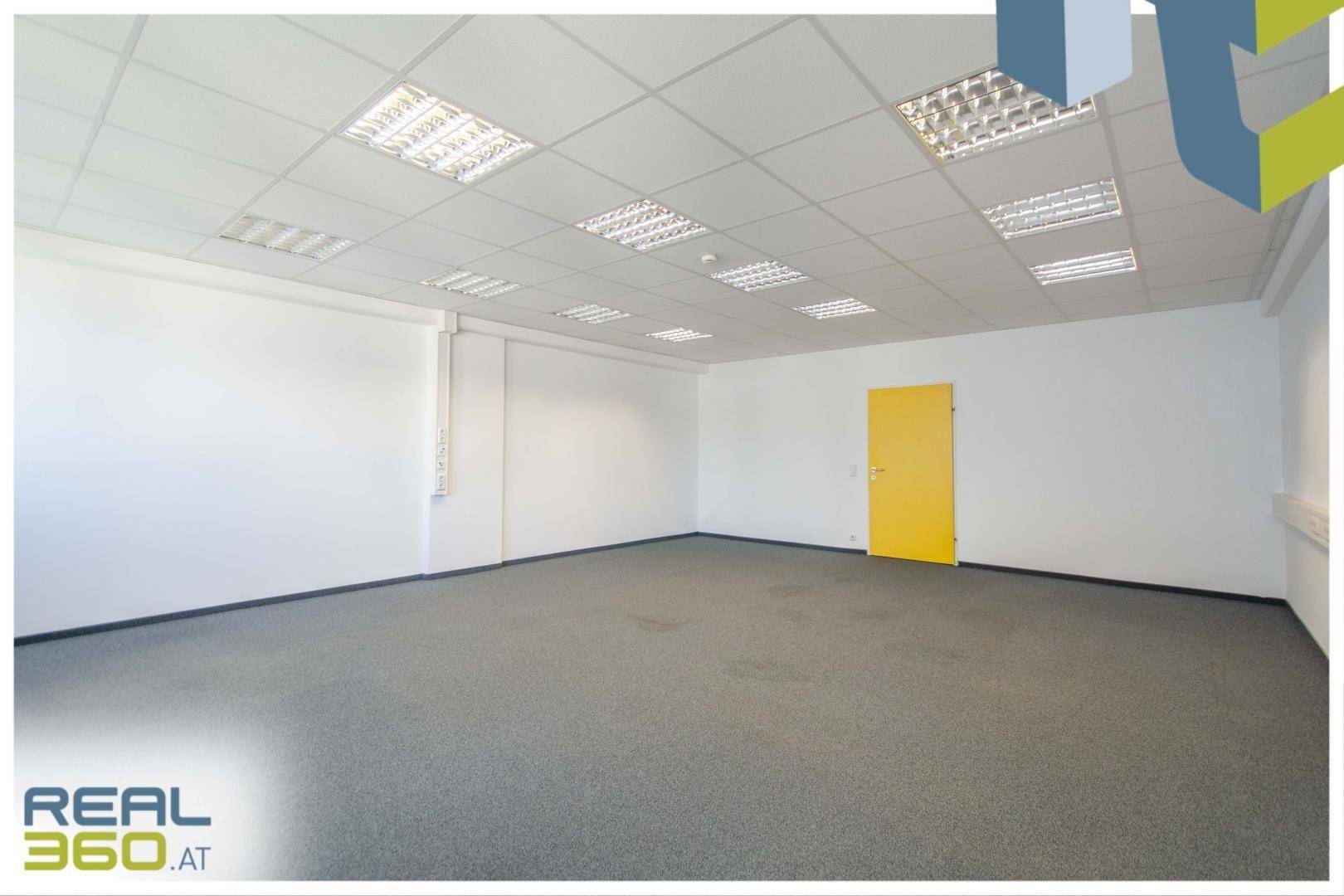 Leeres Büro mit grauem Teppichboden, weißen Wänden und einer auffälligen gelben Tür.