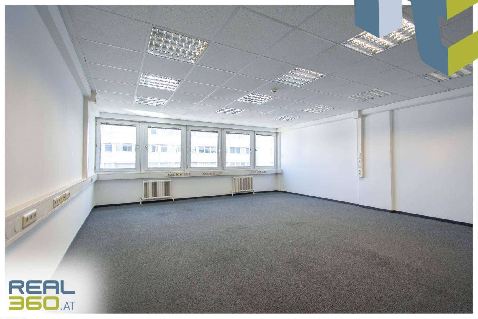 Helles Büro mit Teppichboden, großen Fenstern und abgehängter Decke, bereit zur Nutzung.