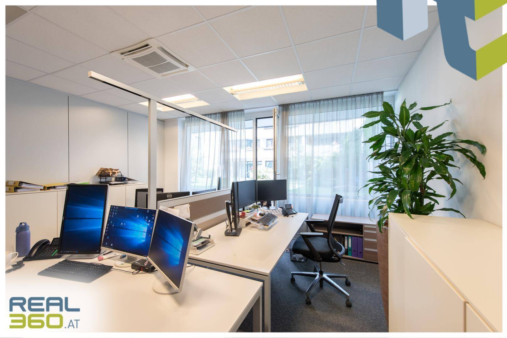 Detailansicht eines Büroarbeitsplatzes mit mehreren Monitoren, einer Pflanze und Aktenschränken im Hintergrund.