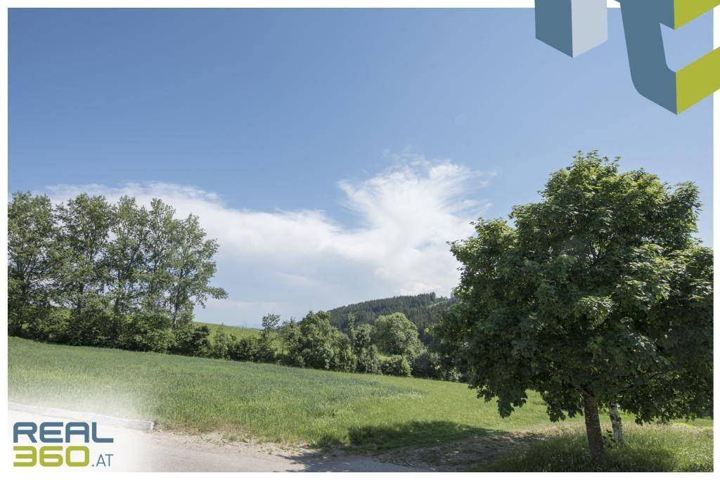 Blickrichtung Süd von der Terrasse