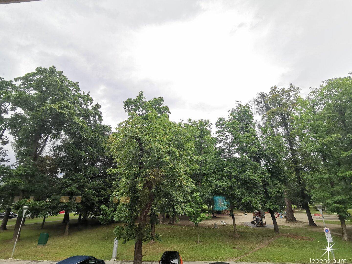 Geschäftsfläche im Zentrum von Spittal. Direkt am Am Stadtpark. - Ansicht 5