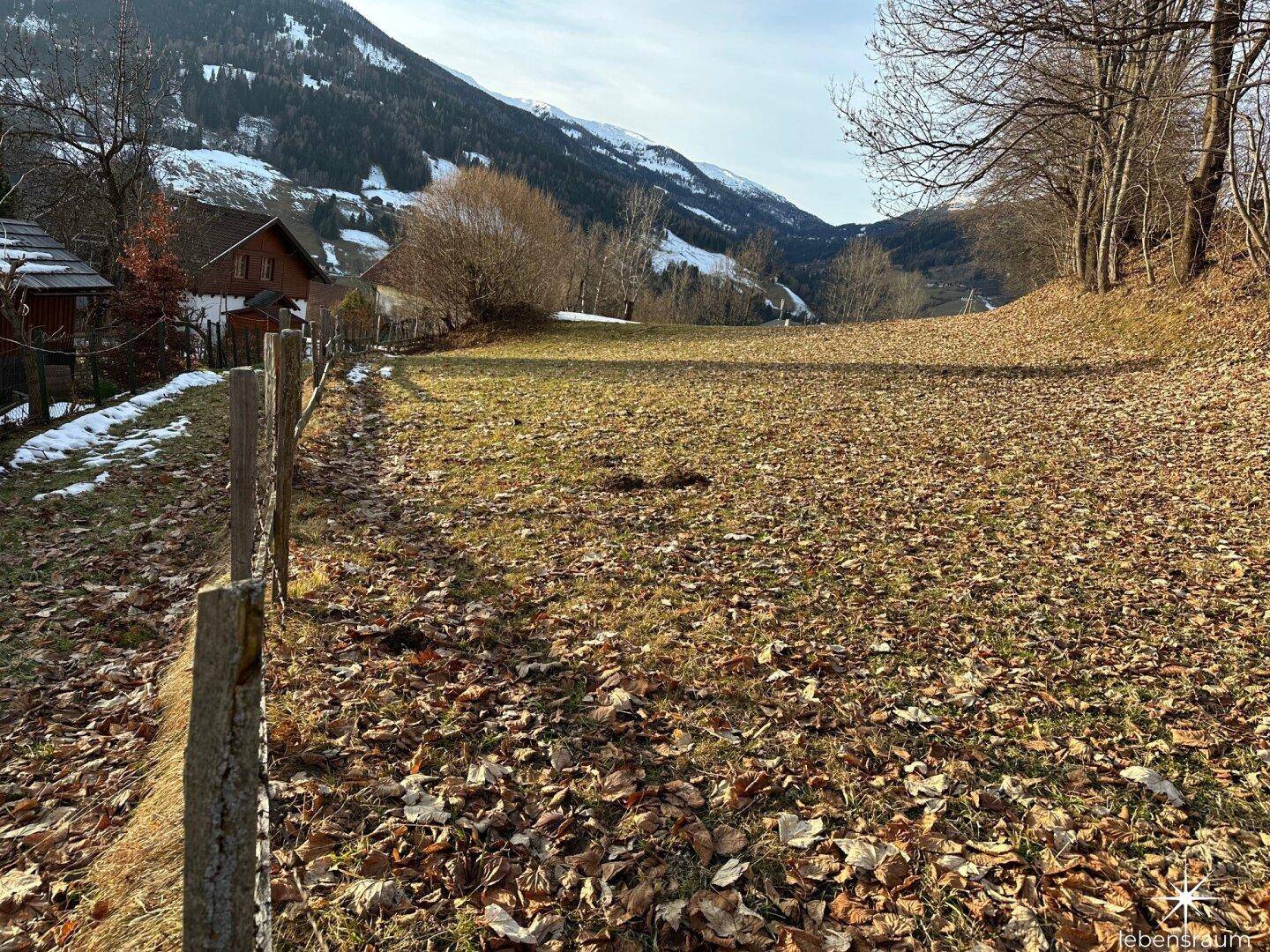 Ländliches Grundstück mit Holzzaun und herbstlichem Laub auf dem Boden, umgeben von Natur.