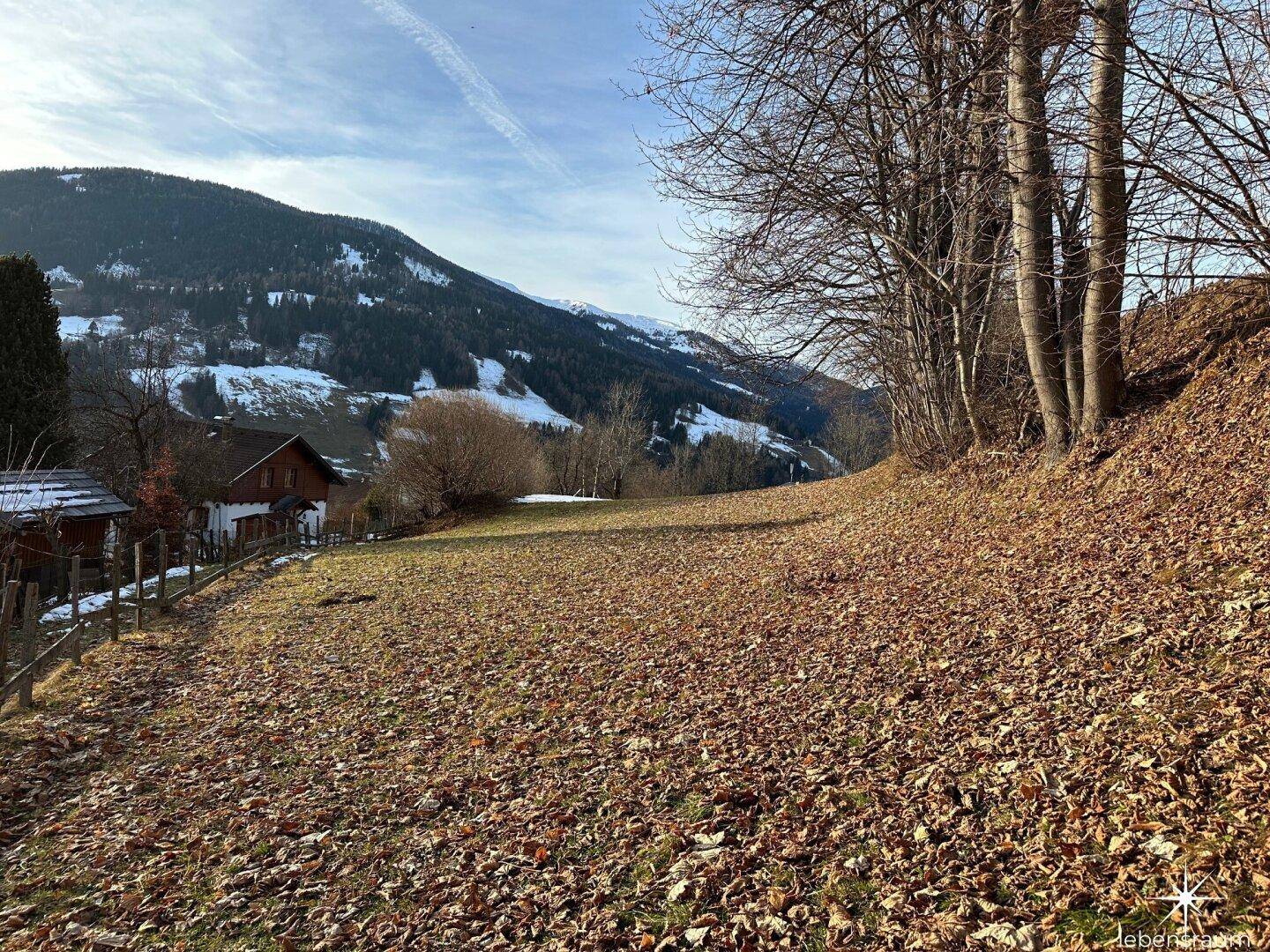 Naturbelassenes Grundstück mit altem Holzzaun und Blick auf die bewaldeten Hügel.