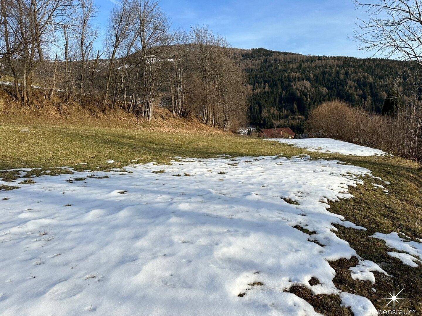 Grünfläche mit Schneeresten und bewaldetem Hang im Hintergrund unter blauem Himmel.