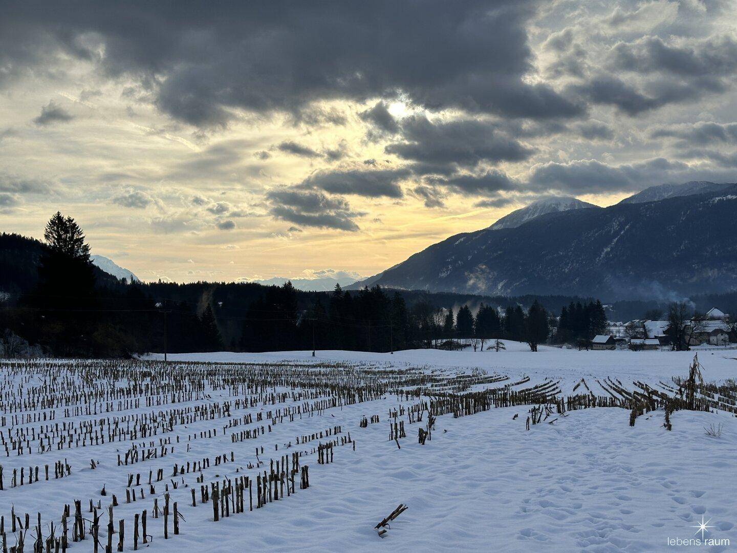 Aussicht Garten aktuelle Zeit