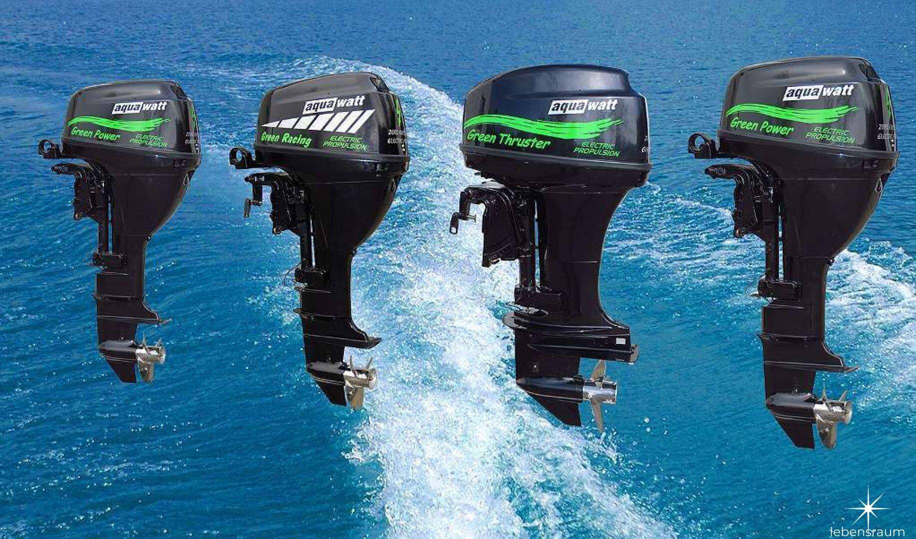 Unternehmen der Elektromobilität auf dem Wasser steht zum Verkauf