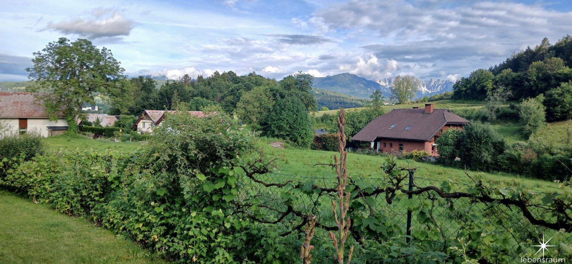 Ausblick