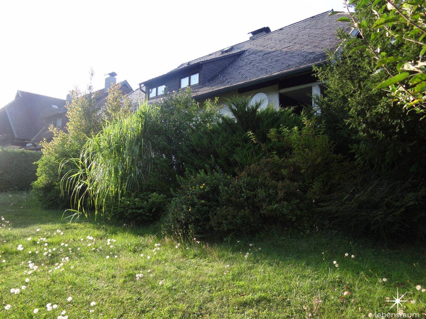 Blick Richtung Terrasse