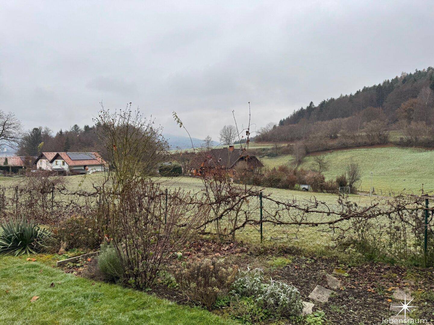 Ausblick