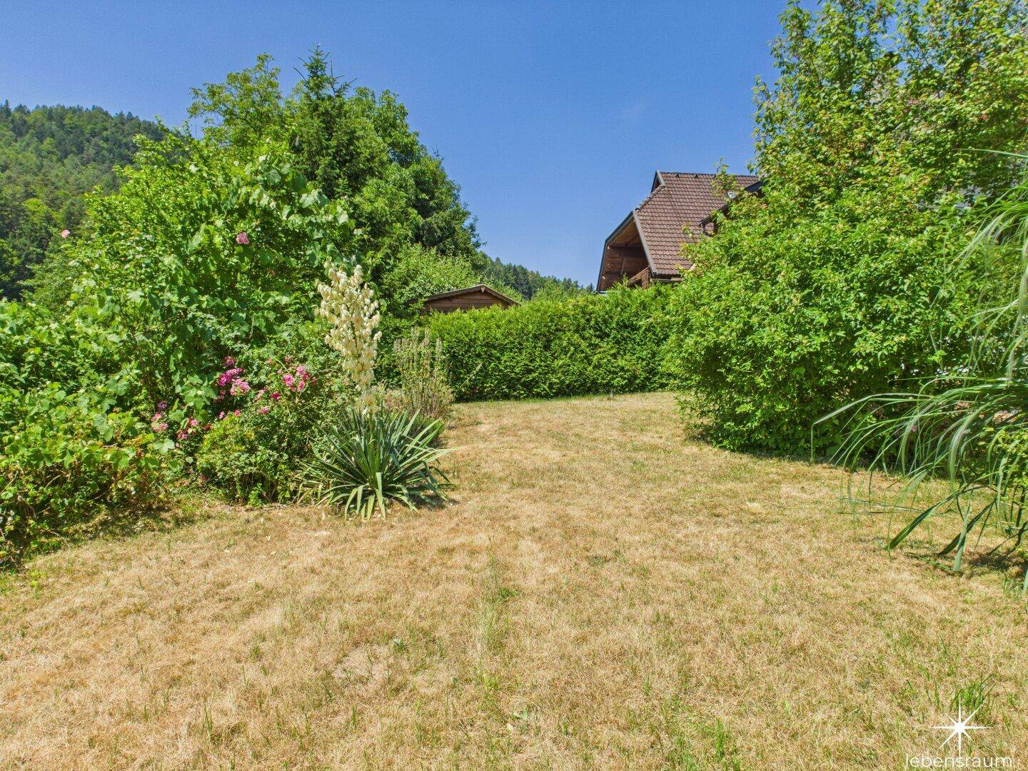 Garten Südseite Richtung Westen