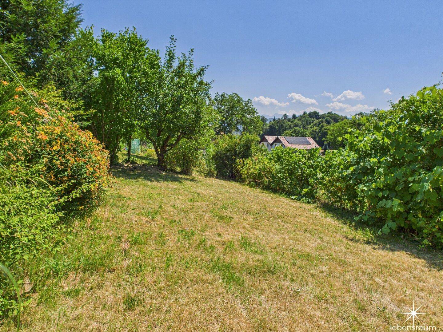 Garten Südseite Richtung Osten