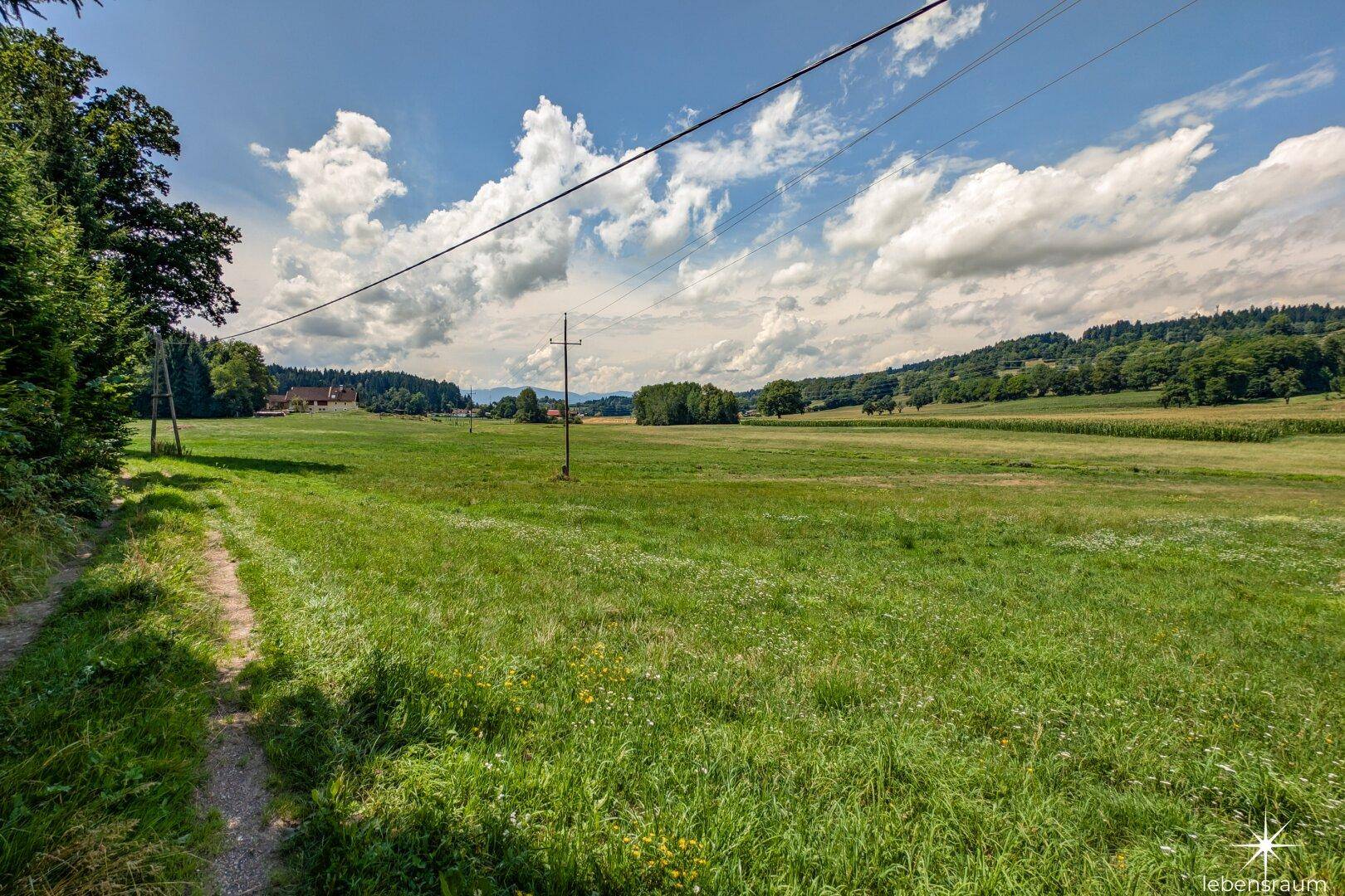 Wiese Moosburg zum Verkauf