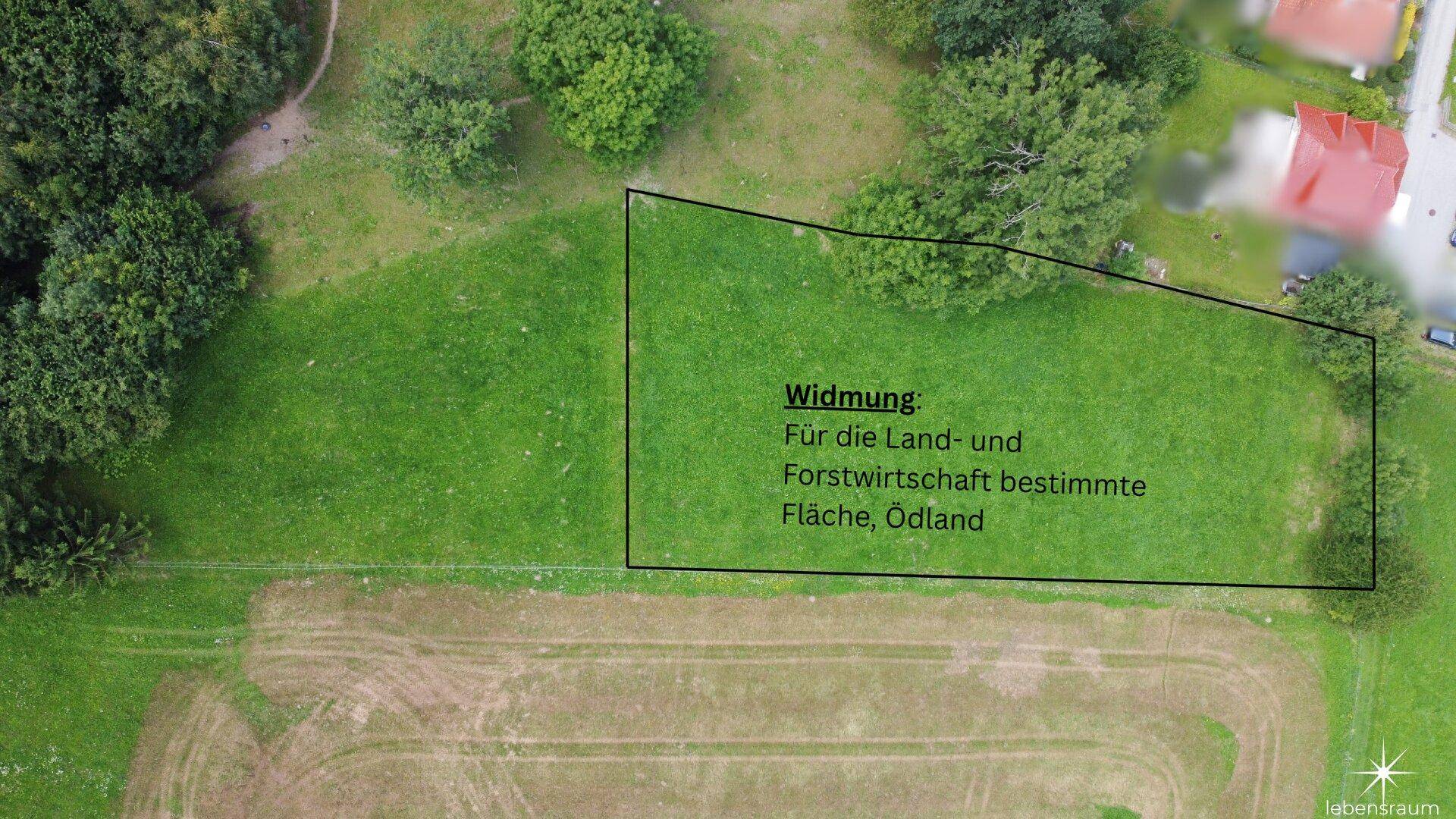 Grundstück. Landwirtschaft.