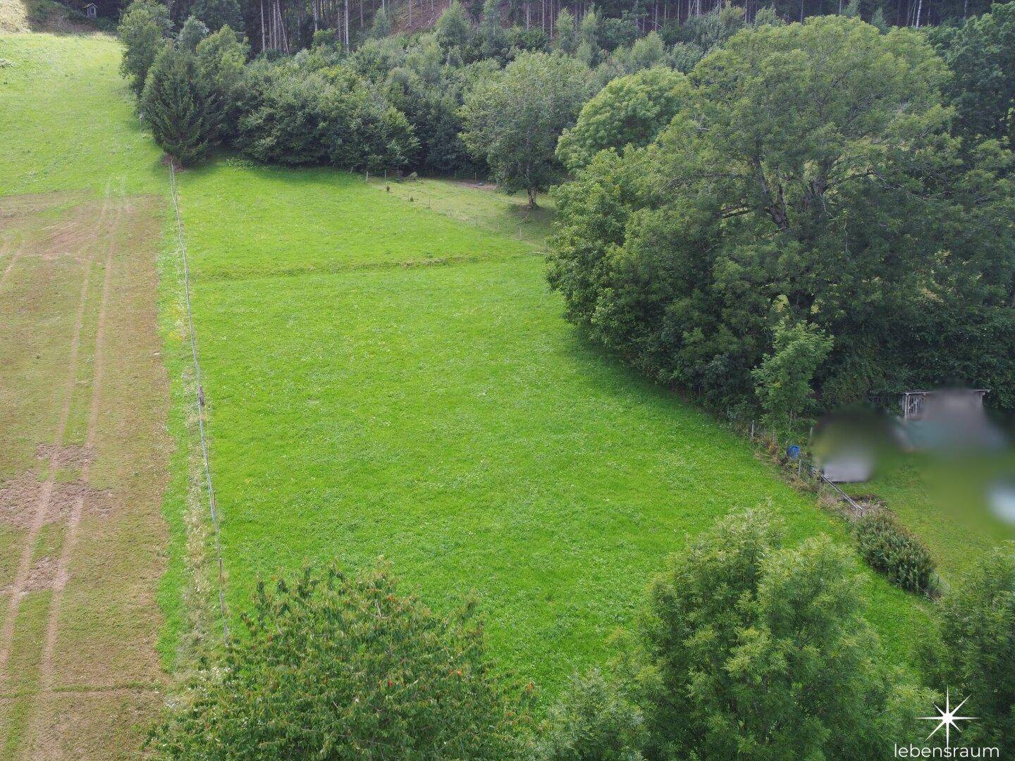 Grundstück. Landwirtschaft.