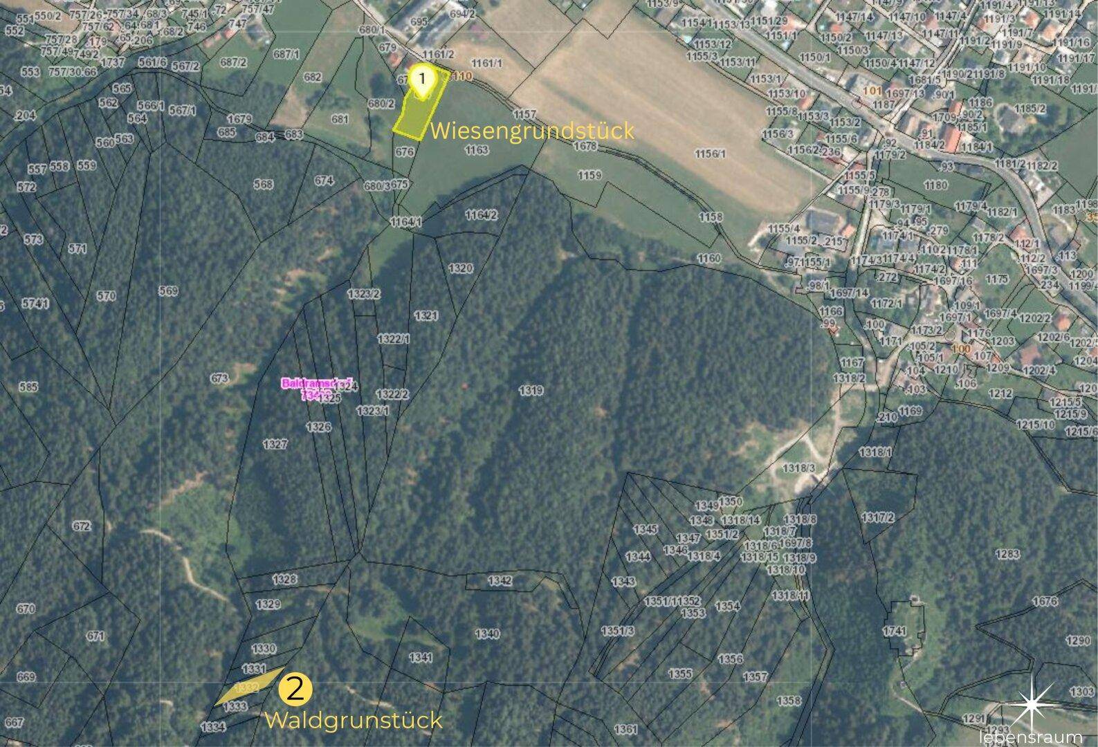 Lage Wiese und Waldgrundstück.