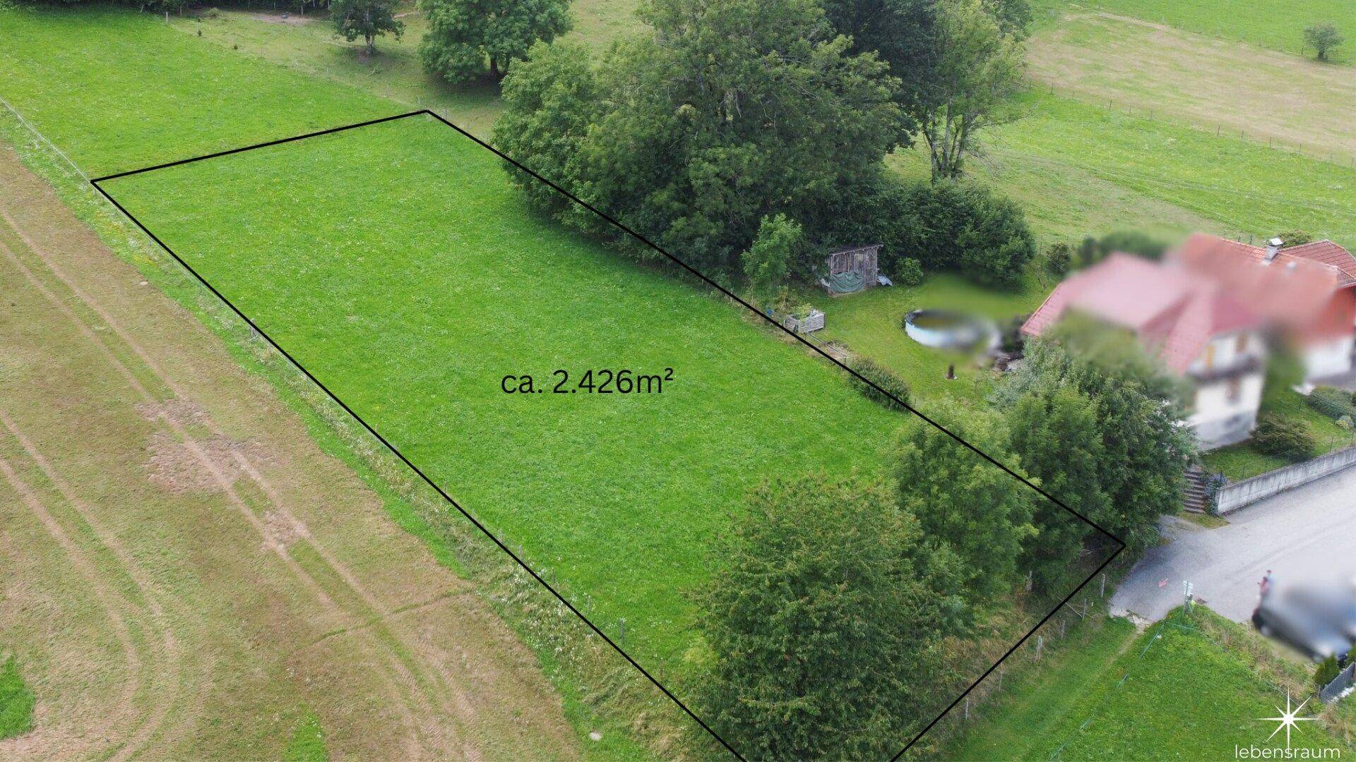 Grundstück. Landwirtschaft.