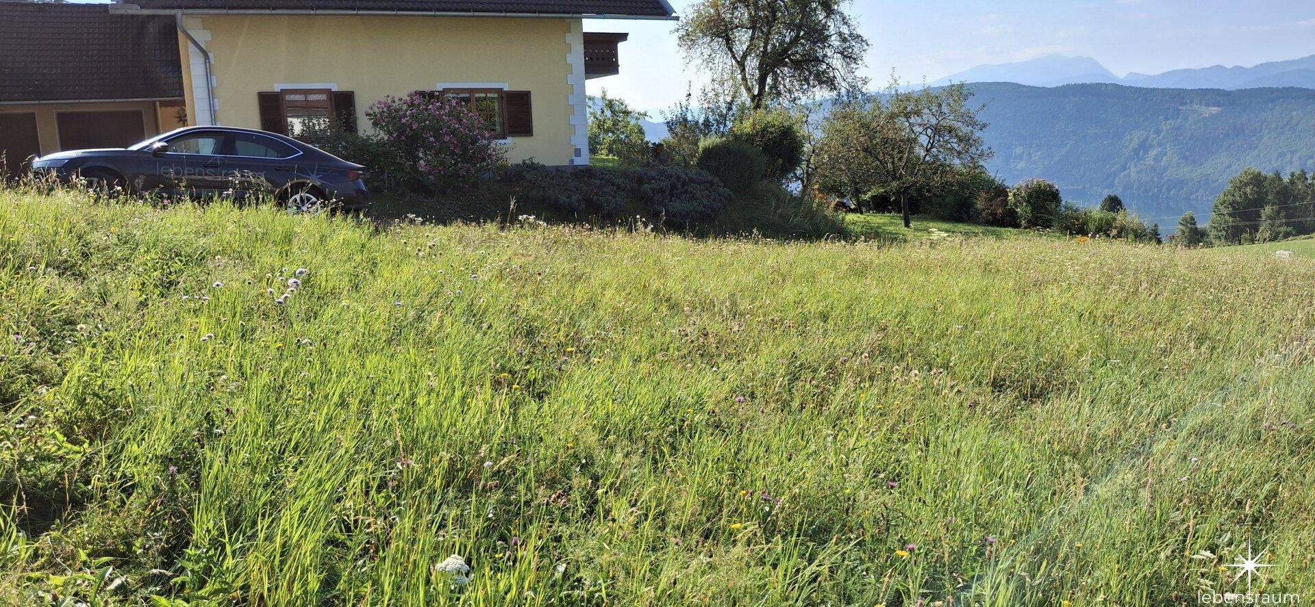 Blick Richtung Osten