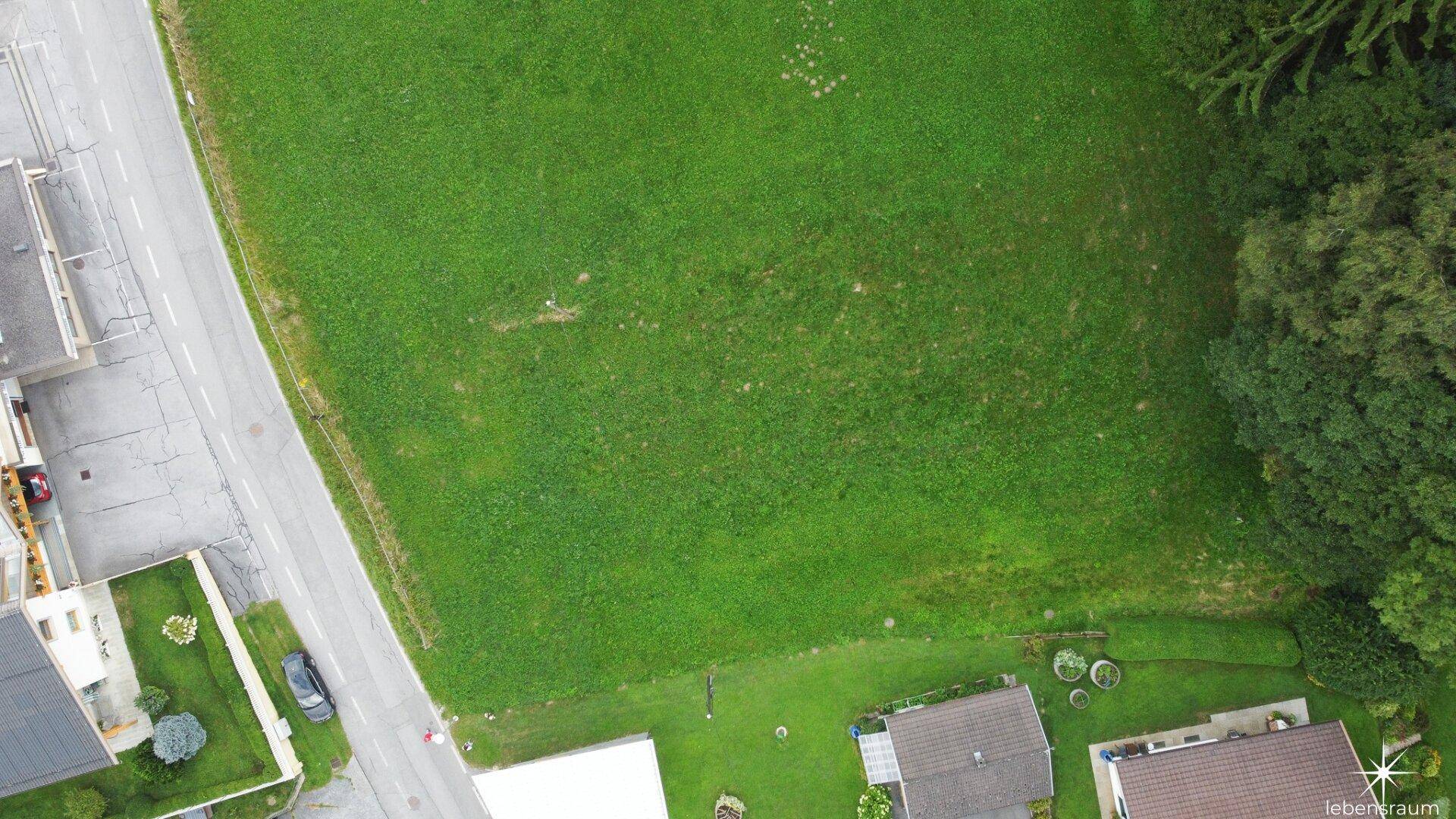 Blick von oben auf ein großes grünes Feld neben einer Straße und angrenzenden Häusern.