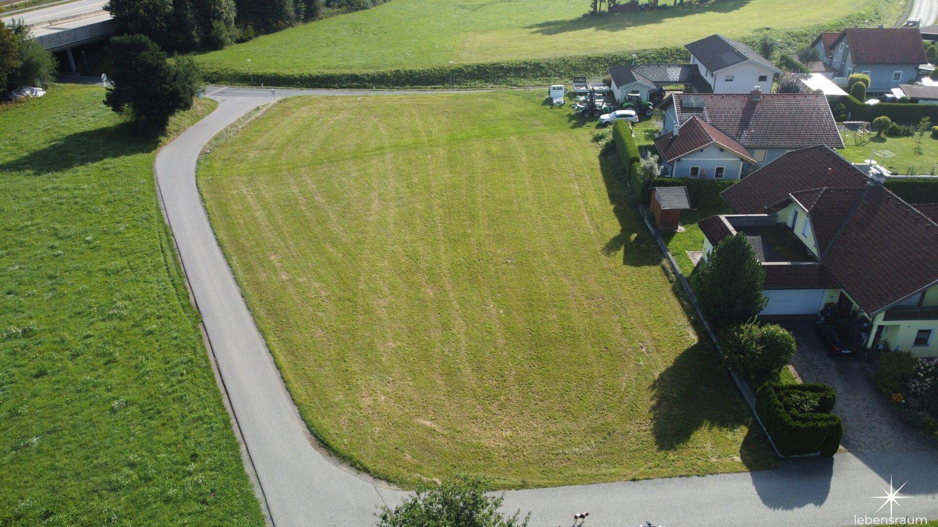 Luftaufnahme eines großen, sonnigen Wiesengrundstücks mit einer geschwungenen Zufahrtsstraße und umliegenden Häusern.