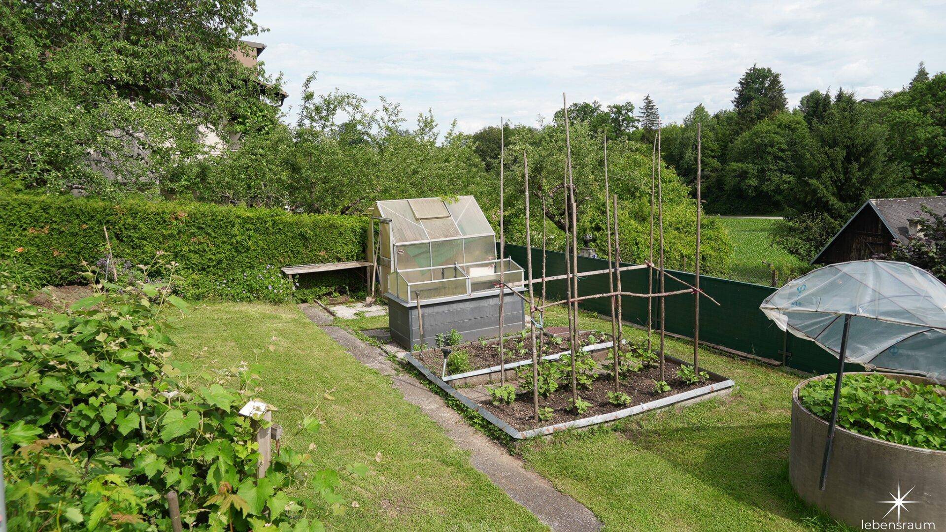 Gepflegter Gemüsegarten mit Hochbeeten, Gewächshaus und Rasenfläche.