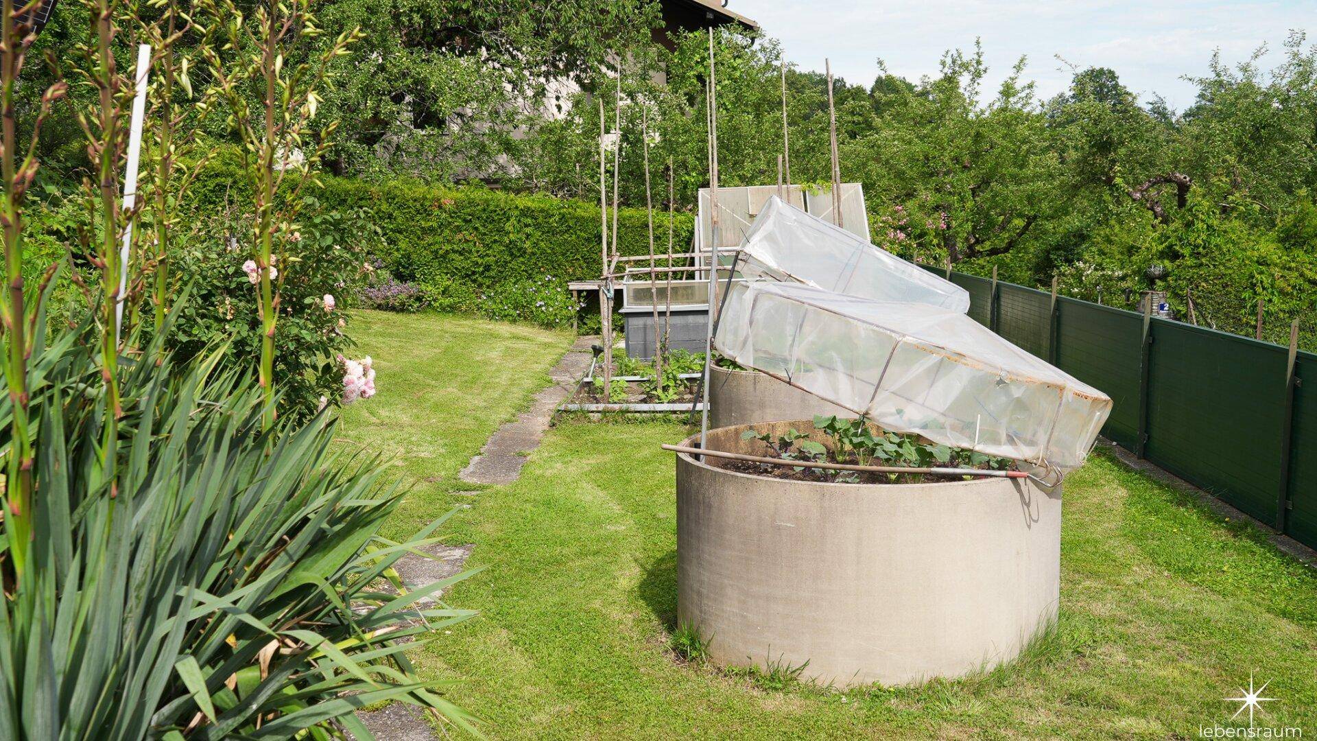 Gartenbereich mit Hochbeeten, Gewächshaus und üppiger Vegetation.