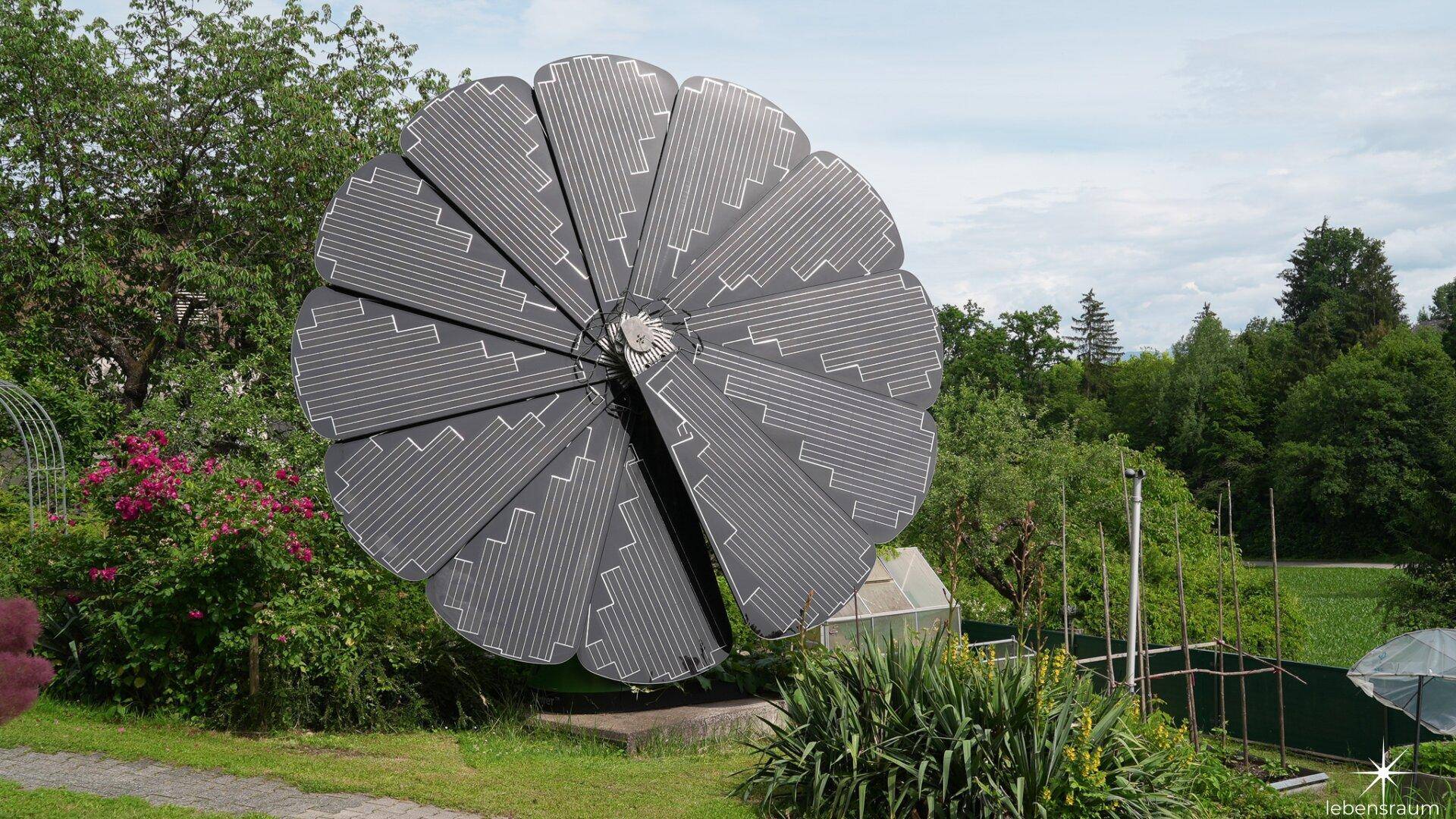 Große Solarblume im Garten, umgeben von Grünflächen und Bäumen.