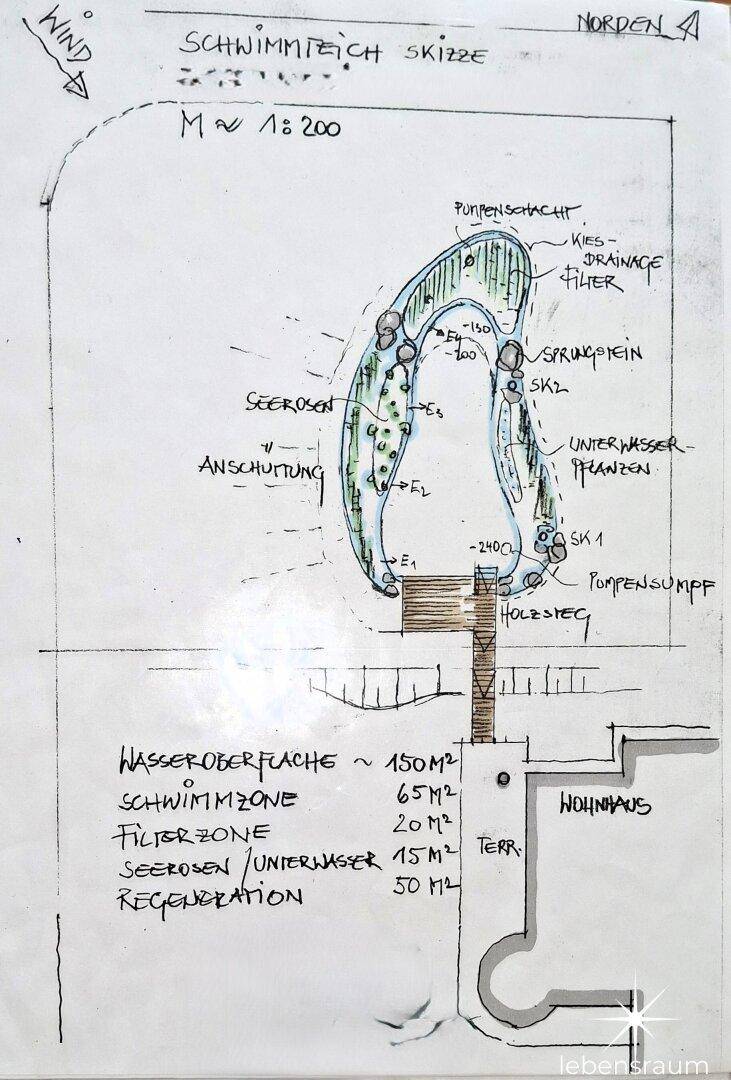 Skizze eines Schwimmteichs mit Filterzone, Holzsteg und angrenzendem Wohnhaus.