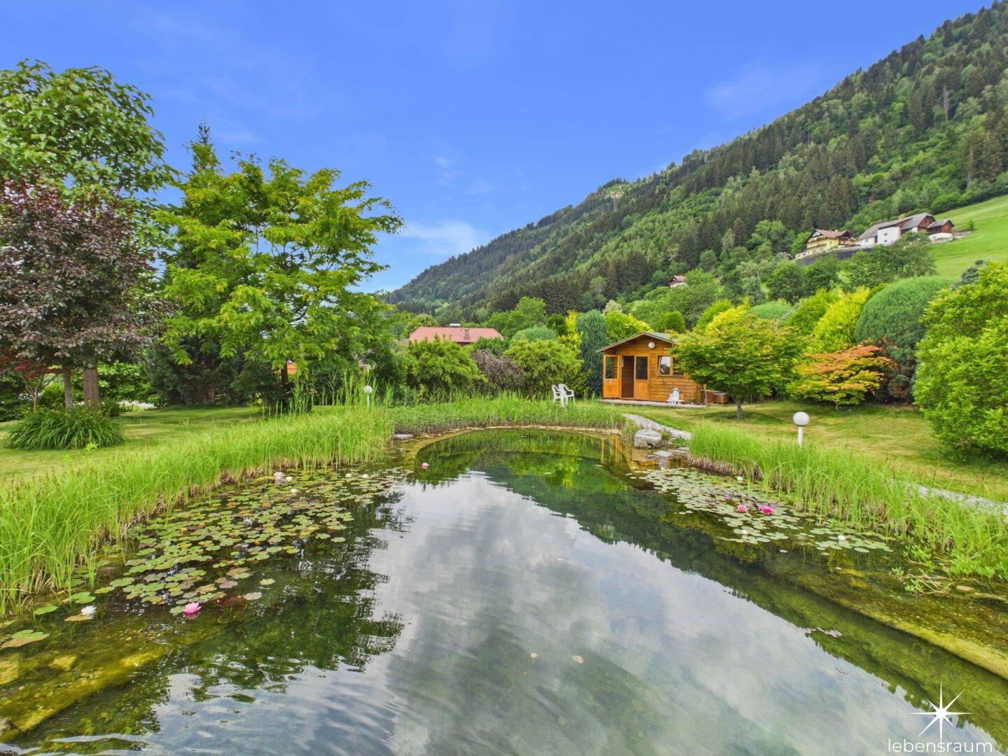 Natürlicher Gartenteich mit Seerosen, umgeben von Schilf und einem Gartenhaus.