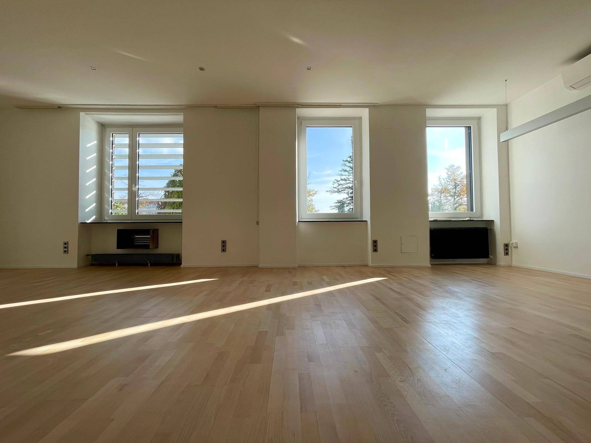 Großes straßenseitiges Bürozimmer