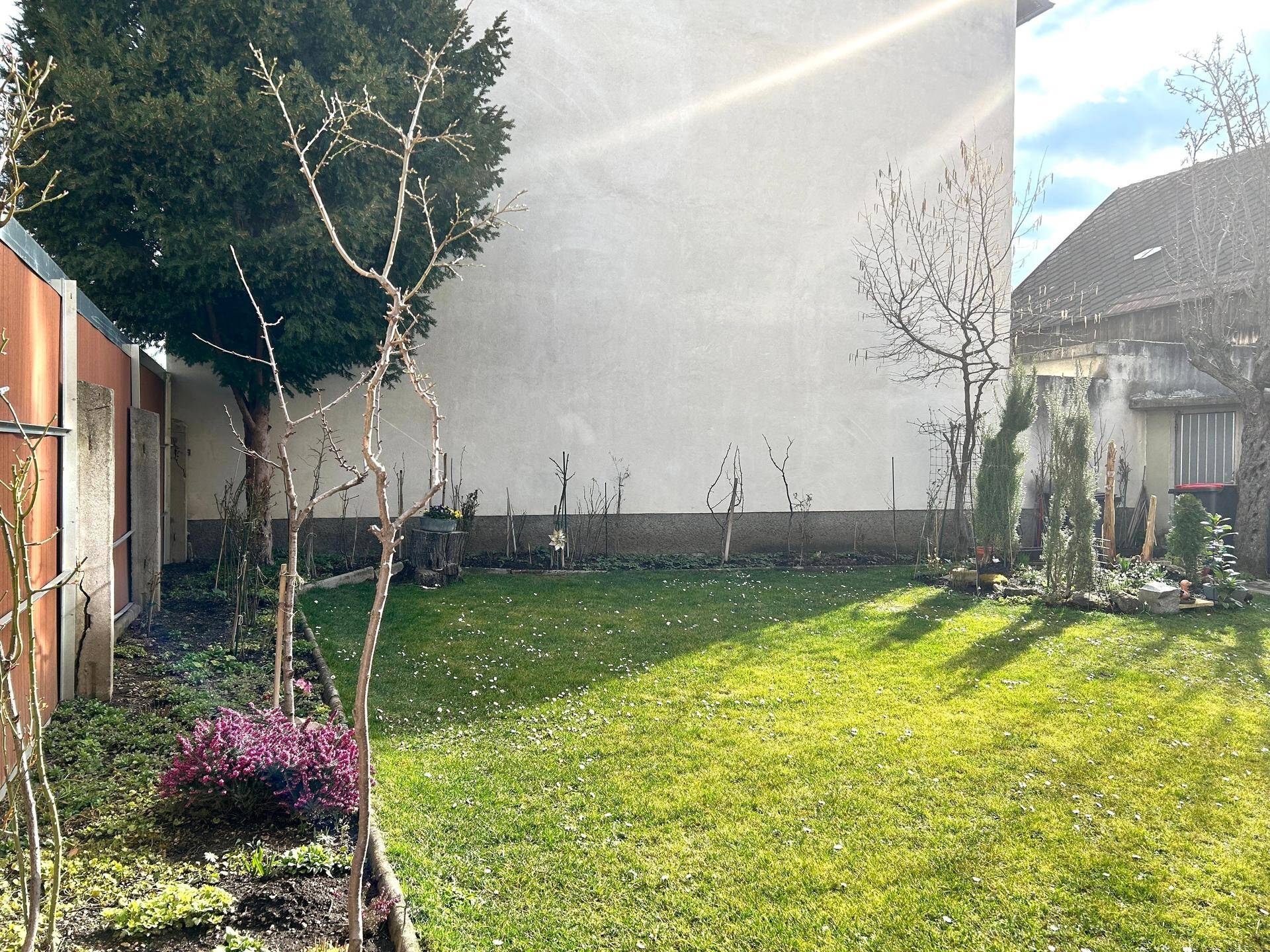 Grüner Gartenbereich mit Rasenfläche und verschiedenen Bäumen und Sträuchern unter blauem Himmel.