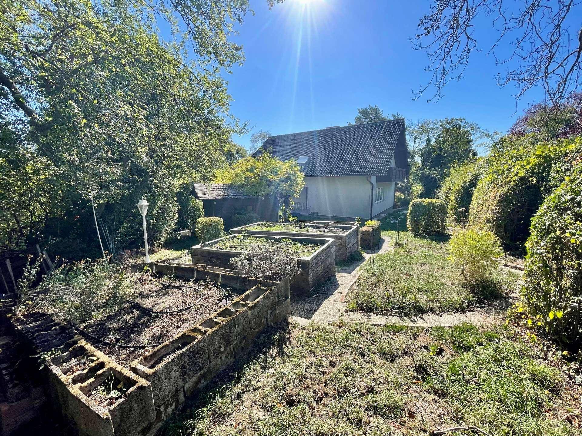 Großer Gartenbereich mit Hochbeeten und viel Grün, ideal für den Anbau von Pflanzen.