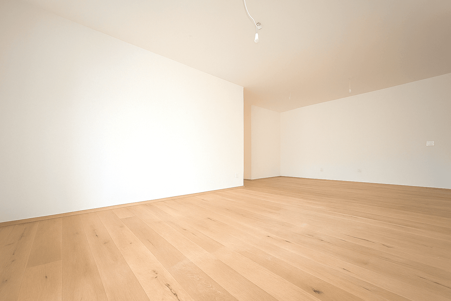 Wohnzimmer mit Küchenbereich