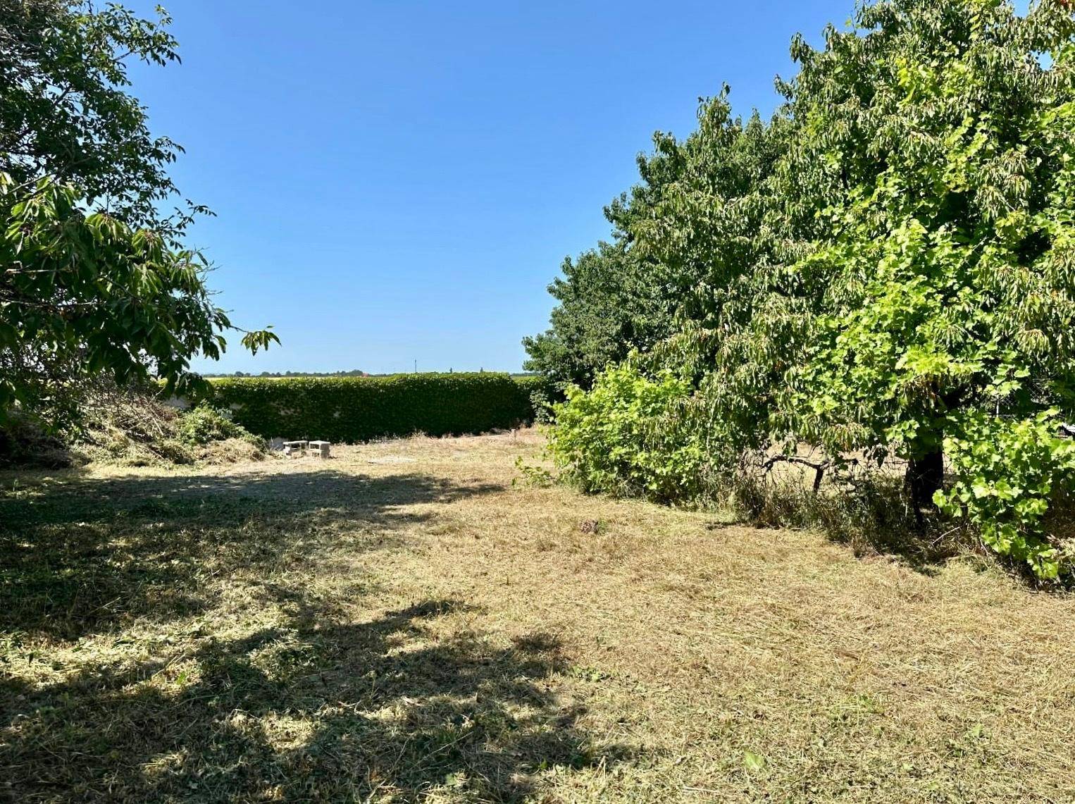 Großer, naturbelassener Gartenbereich mit Bäumen und Hecken, der Pflege und Gestaltung benötigt.