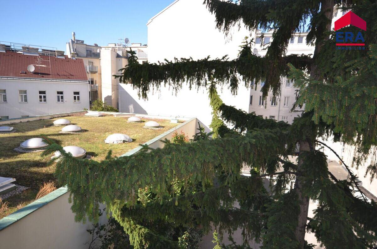 Gründach mit mehreren Lichtkuppeln, umgeben von städtischer Bebauung und hohen Bäumen.