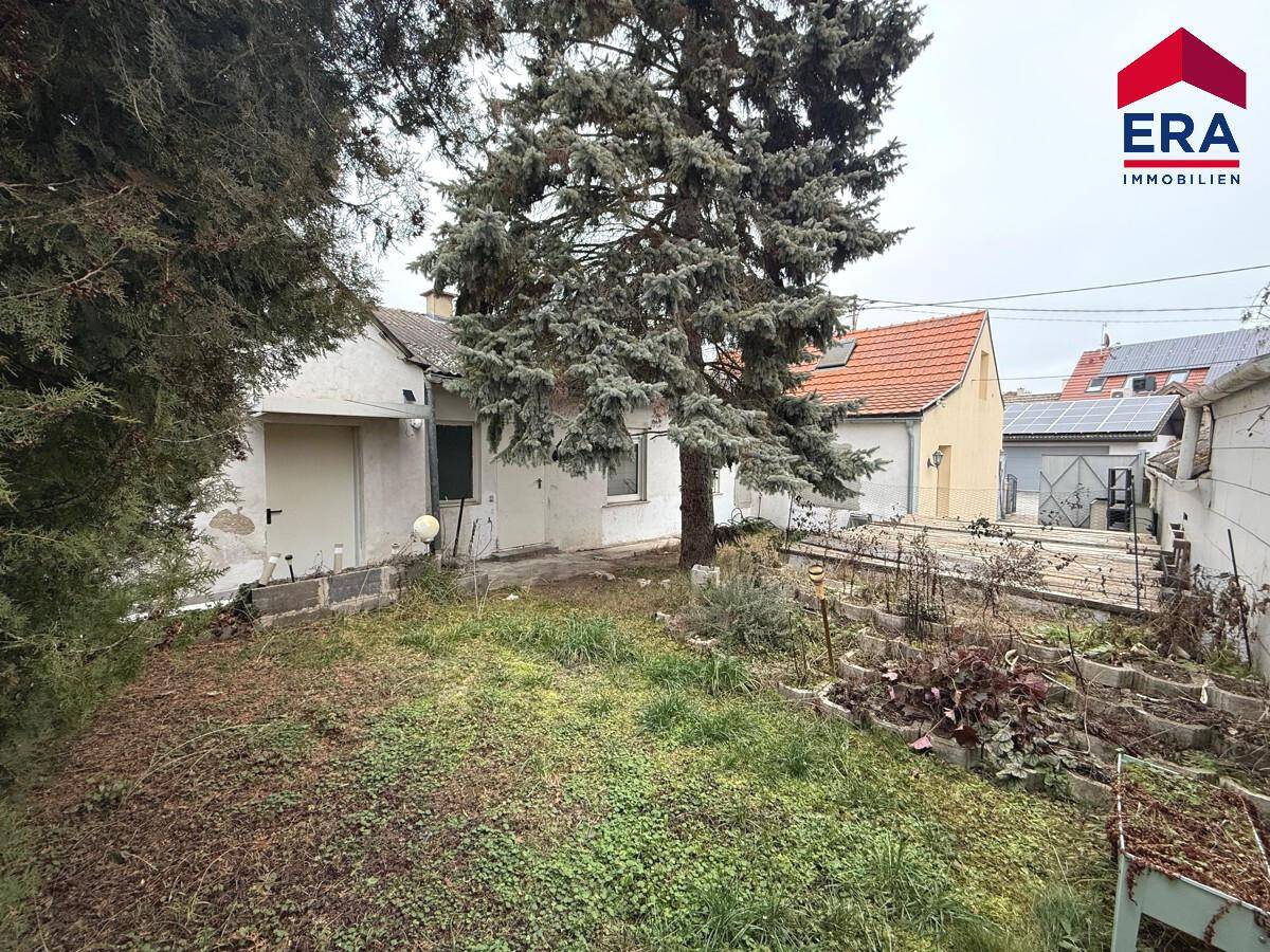 Hinterhof mit Rasenfläche, Bäumen und Hochbeeten, ideal für Gartenliebhaber.
