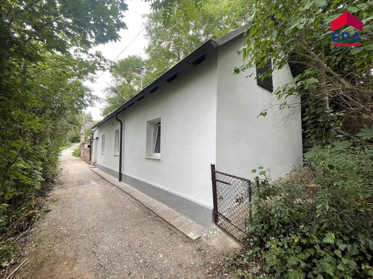 Seitenansicht des weißen Hauses mit schmalem Weg und üppiger Vegetation im Sommer.